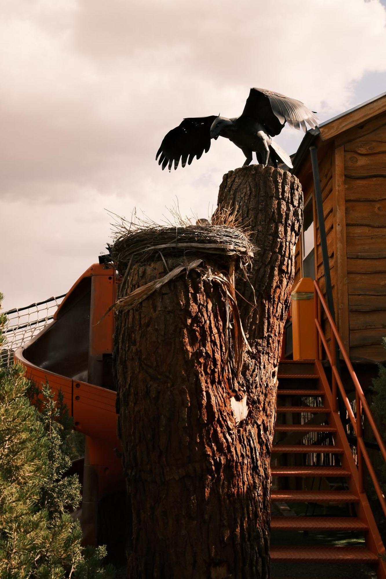 הוילה Nogal Crows Nest Treehouse At El Mstico Ranch מראה חיצוני תמונה