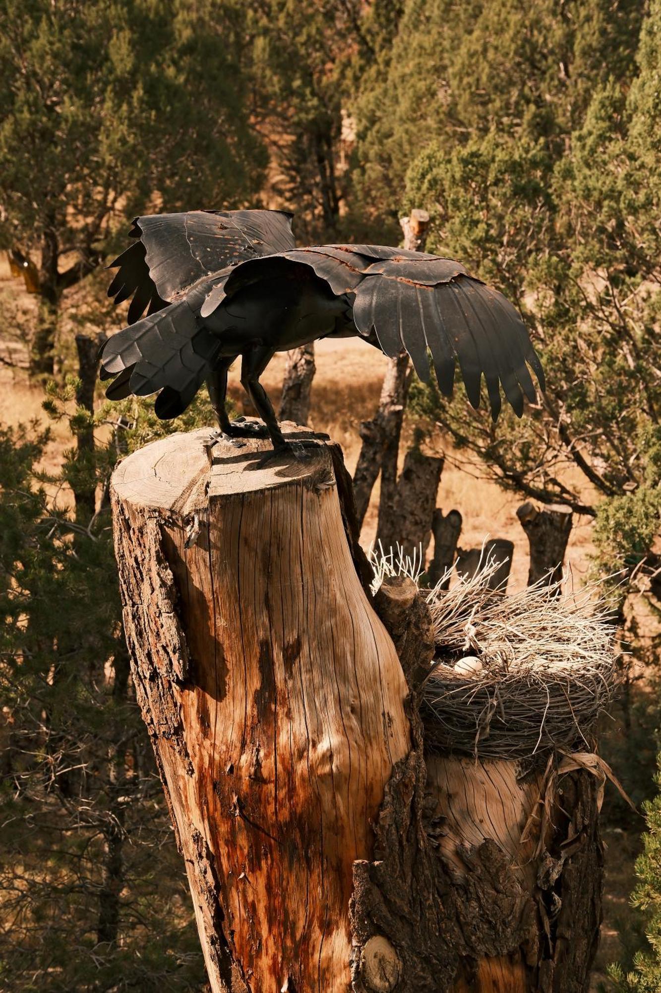 הוילה Nogal Crows Nest Treehouse At El Mstico Ranch מראה חיצוני תמונה