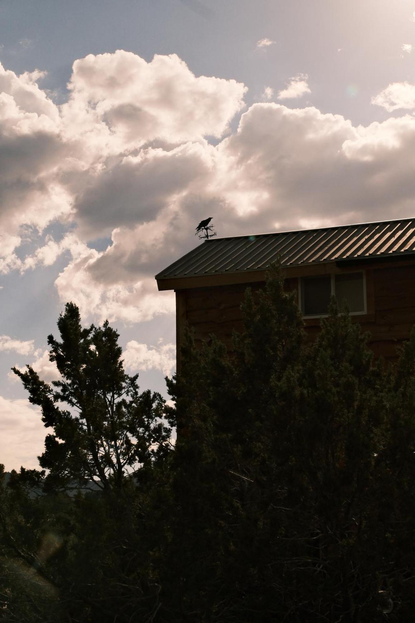 הוילה Nogal Crows Nest Treehouse At El Mstico Ranch מראה חיצוני תמונה